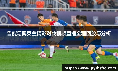 333体育官网