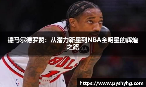 333体育官网