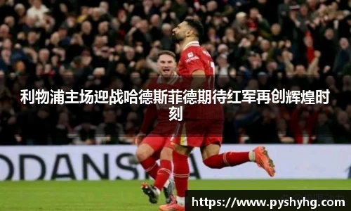 333体育官网