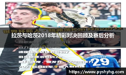 333体育官网