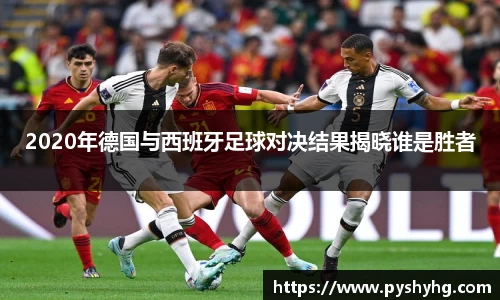 333体育官网
