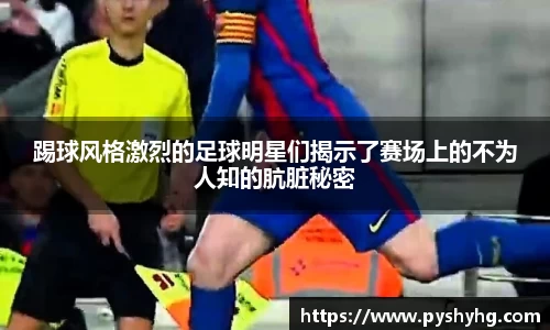 333体育官网