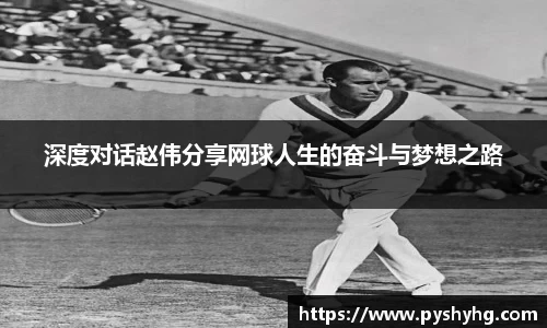 333体育官网